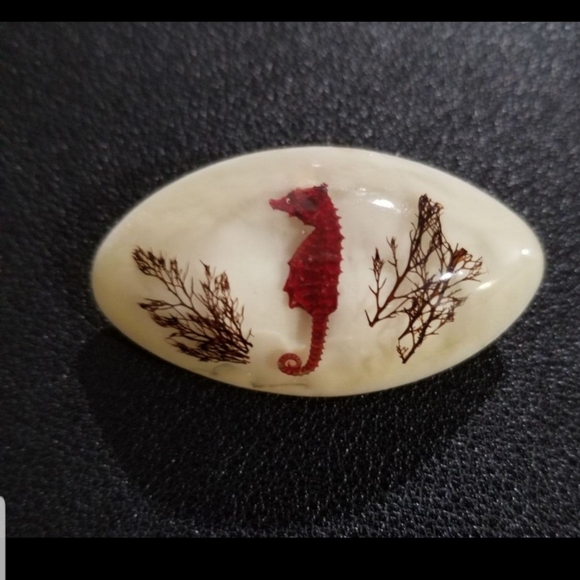 Seahorse and Coral Specimen Trapped in Resin Vintage Brooch (1960s) - Picture 1 of 5